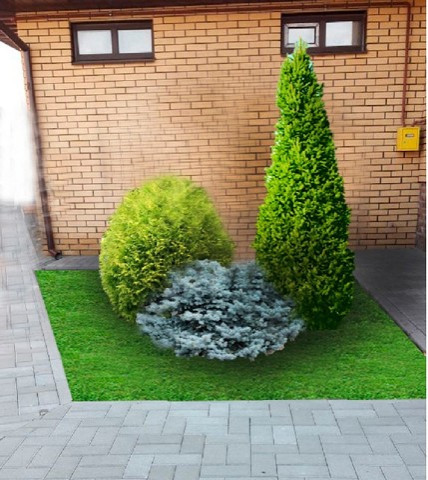 Проект « Сад для семьи»