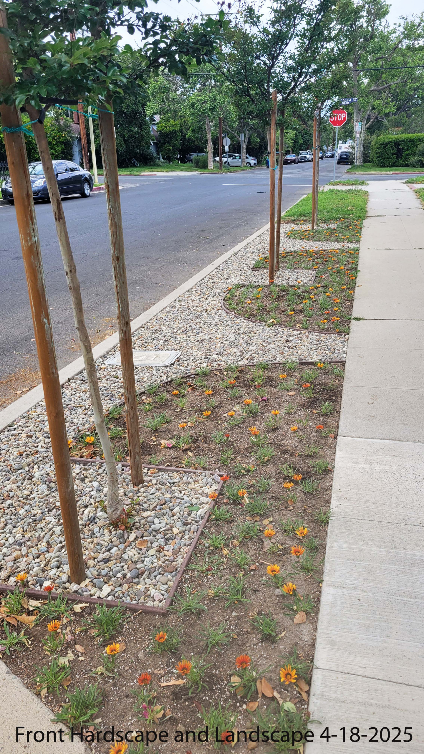 Van Nuys - North Sherman Oaks