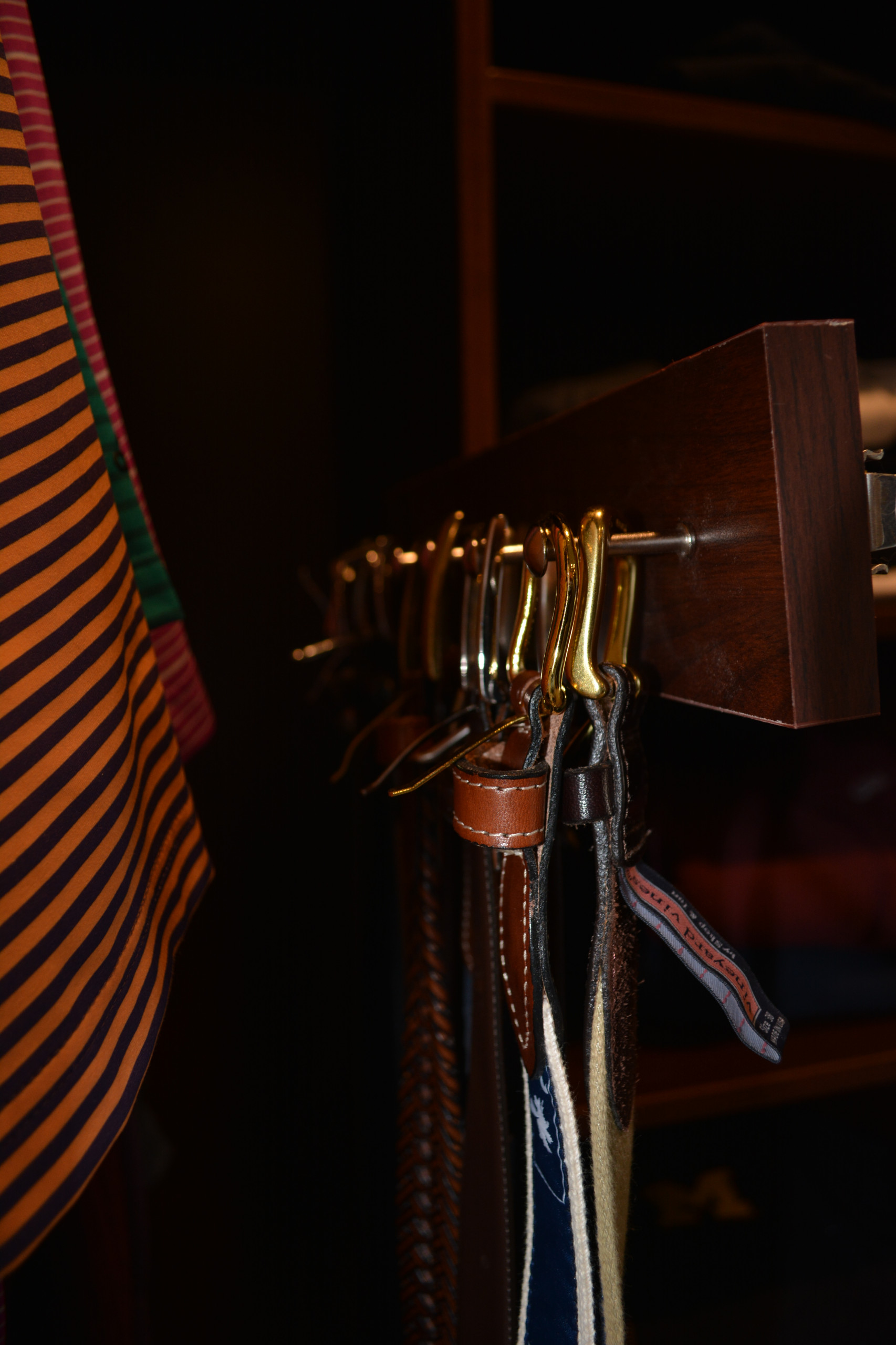 Master Dressing Room in Grove Myrtle