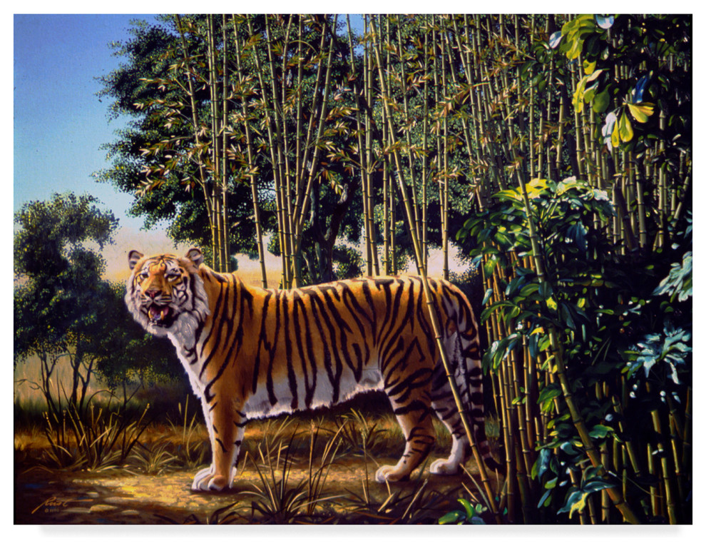 tiger optical illusion