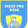 Delco Pro Wash
