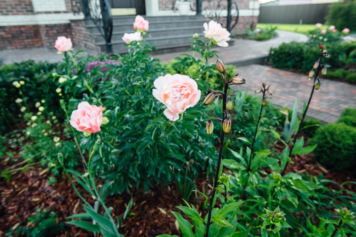 Равновесие. Первая весна