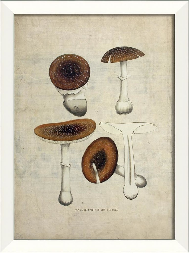 Mushroom III Framed Artwork