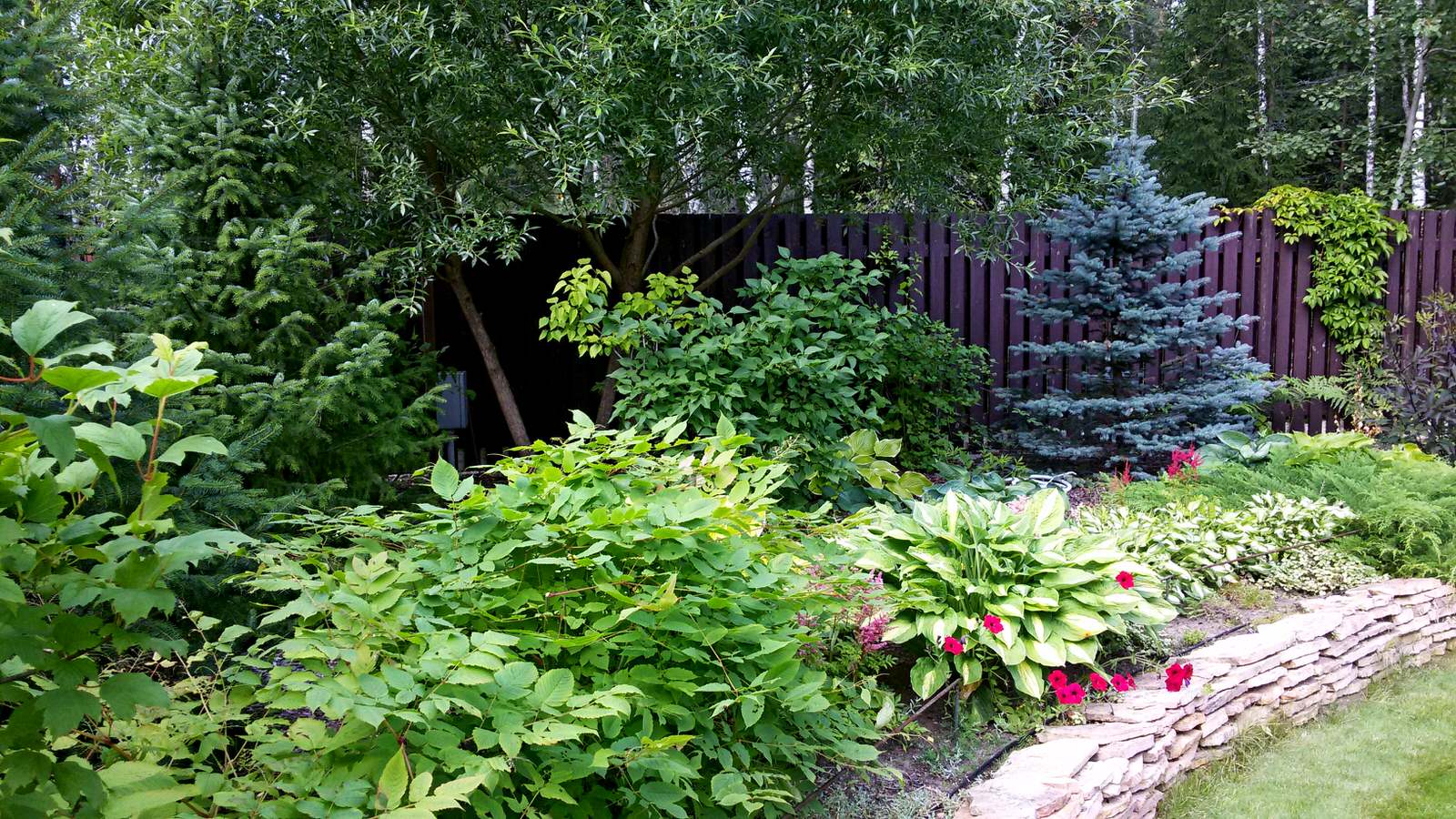 Древесно-кустарниковая композиция одностороннего обзора