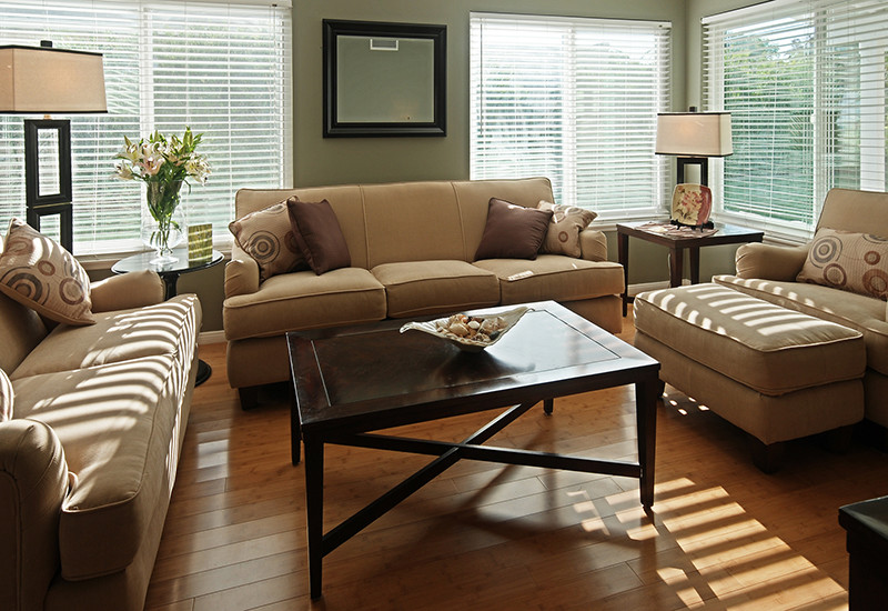Mini Blinds | Eclectic Living Room | Green & Brown | Traditional Furniture & Mod