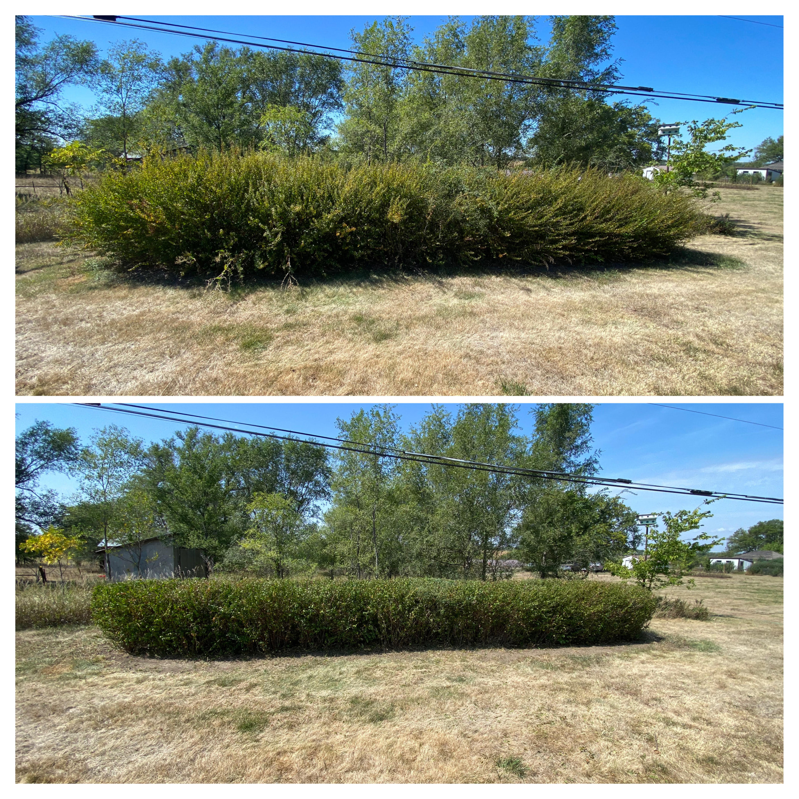Trimming & Cleanup