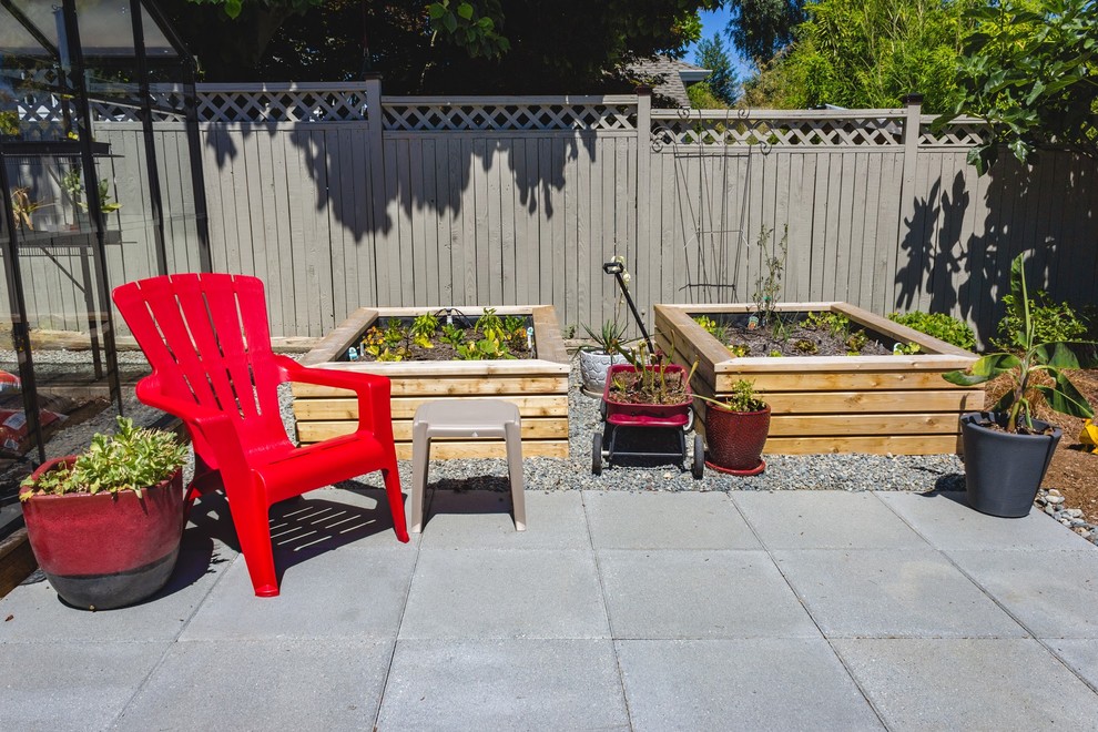 Photo of a mid-sized transitional backyard patio in Seattle with a vegetable garden, concrete pavers and no cover.