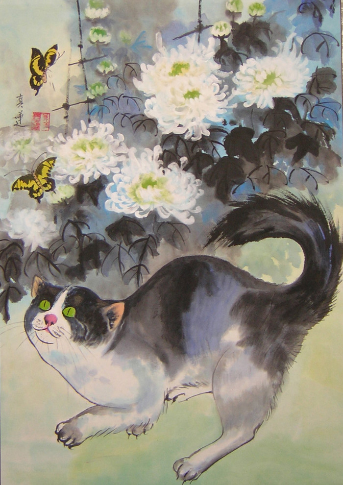 yellow butterflies and cat