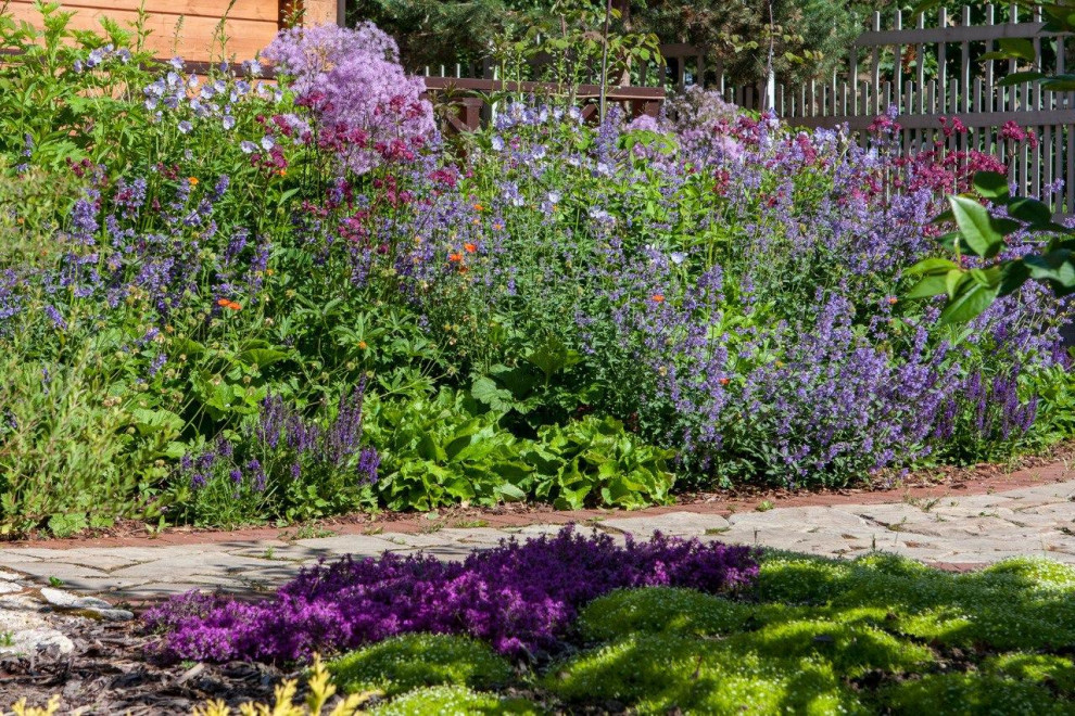 Полет Шмеля 2