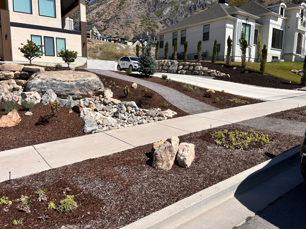 Alpine Landscape Build