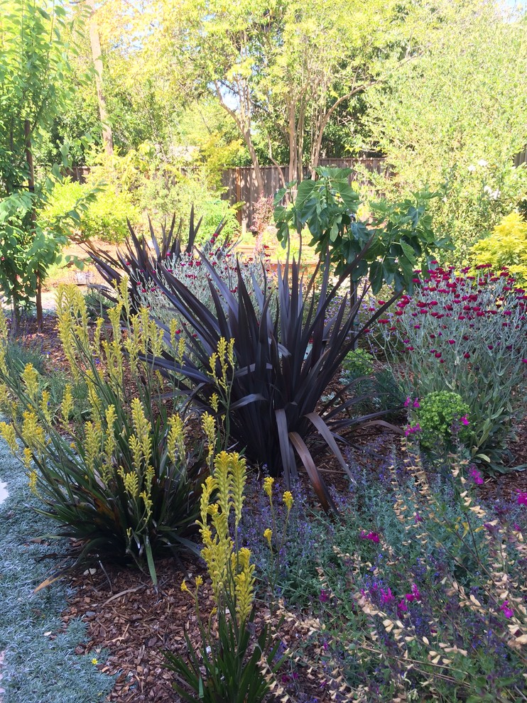 This is an example of a traditional garden in San Francisco.