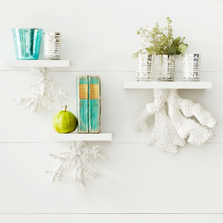 Floating Coral Shelf tropical-display-and-wall-shelves