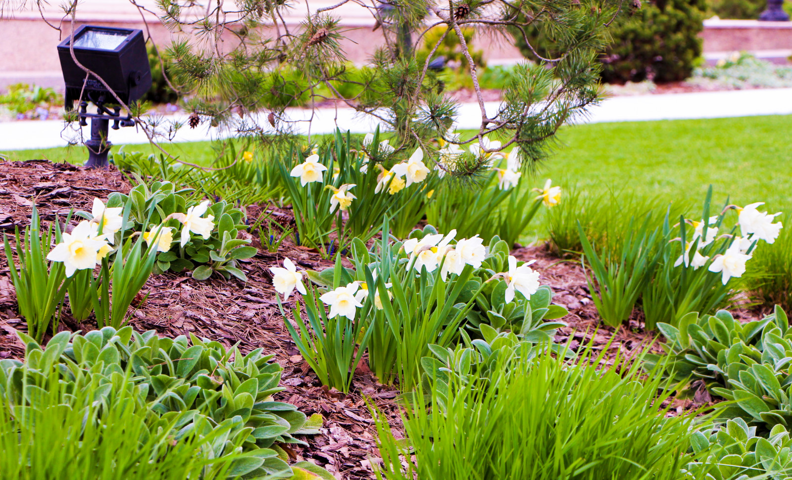 Горки-10, 2017-2020 г.г.