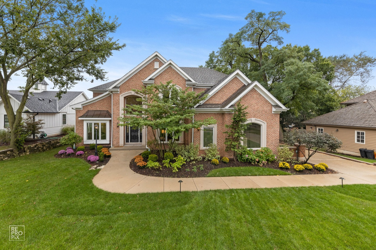 Chestnut Contemporary