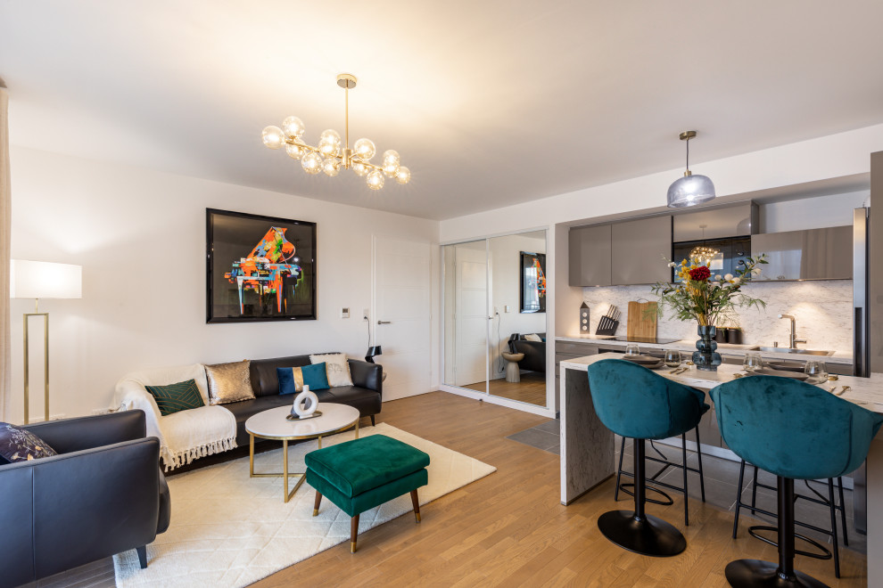 Offenes Modernes Wohnzimmer mit weißer Wandfarbe, hellem Holzboden und TV-Wand in Paris