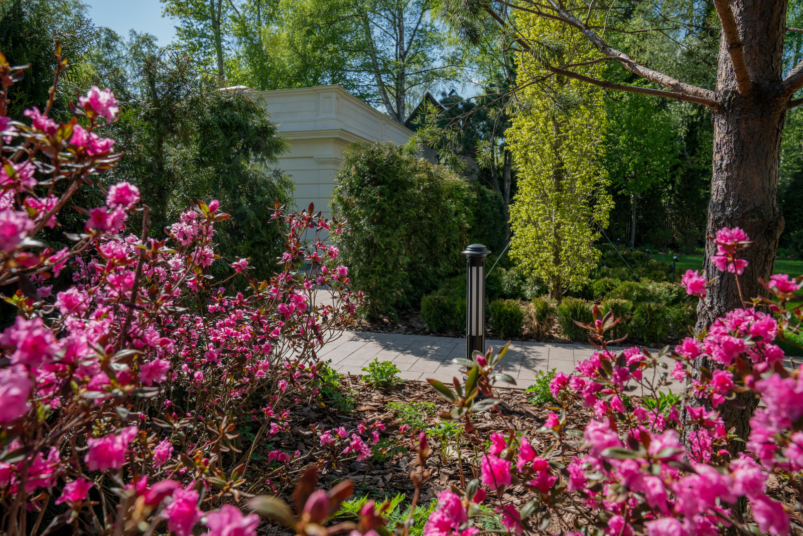 Французский сад. Опалиха. 2021 г.