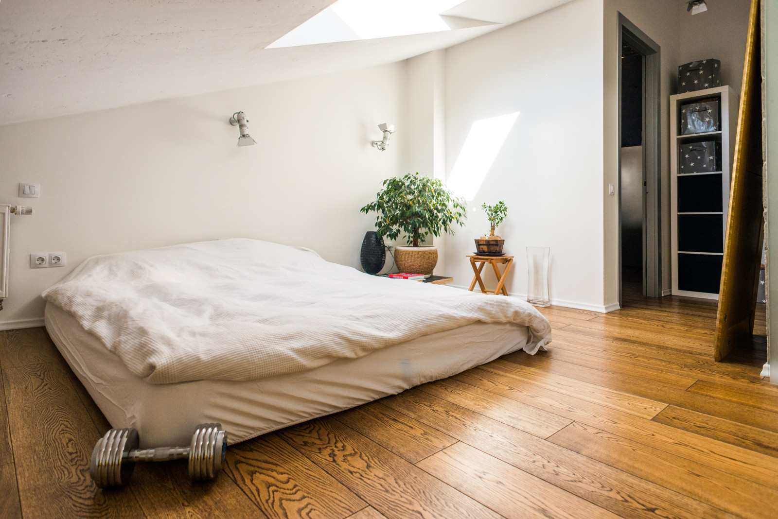 Мансарда на Дмитровке