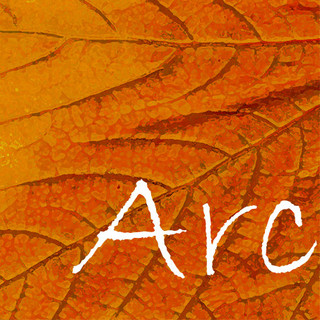 Arc Architects