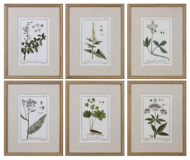 Uttermost Green Floral Botanical Study Prints Set Of 6 33651