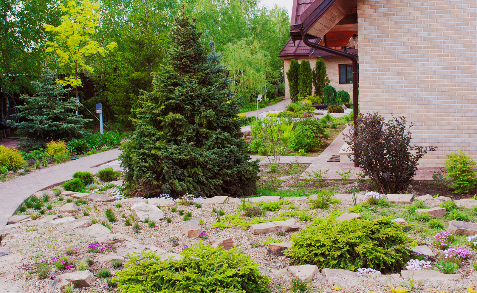 Ель сербская Nana Завершает альпийский склон.
