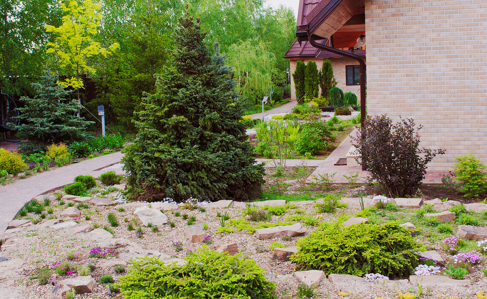Ель сербская Nana Завершает альпийский склон.