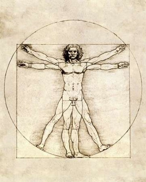 Proportions Of The Human Figure Vitruvian Man Print Traditional Prints And Posters By