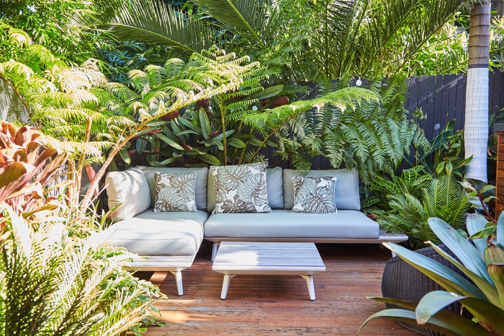 Inspiration for a tropical home design in Sydney.