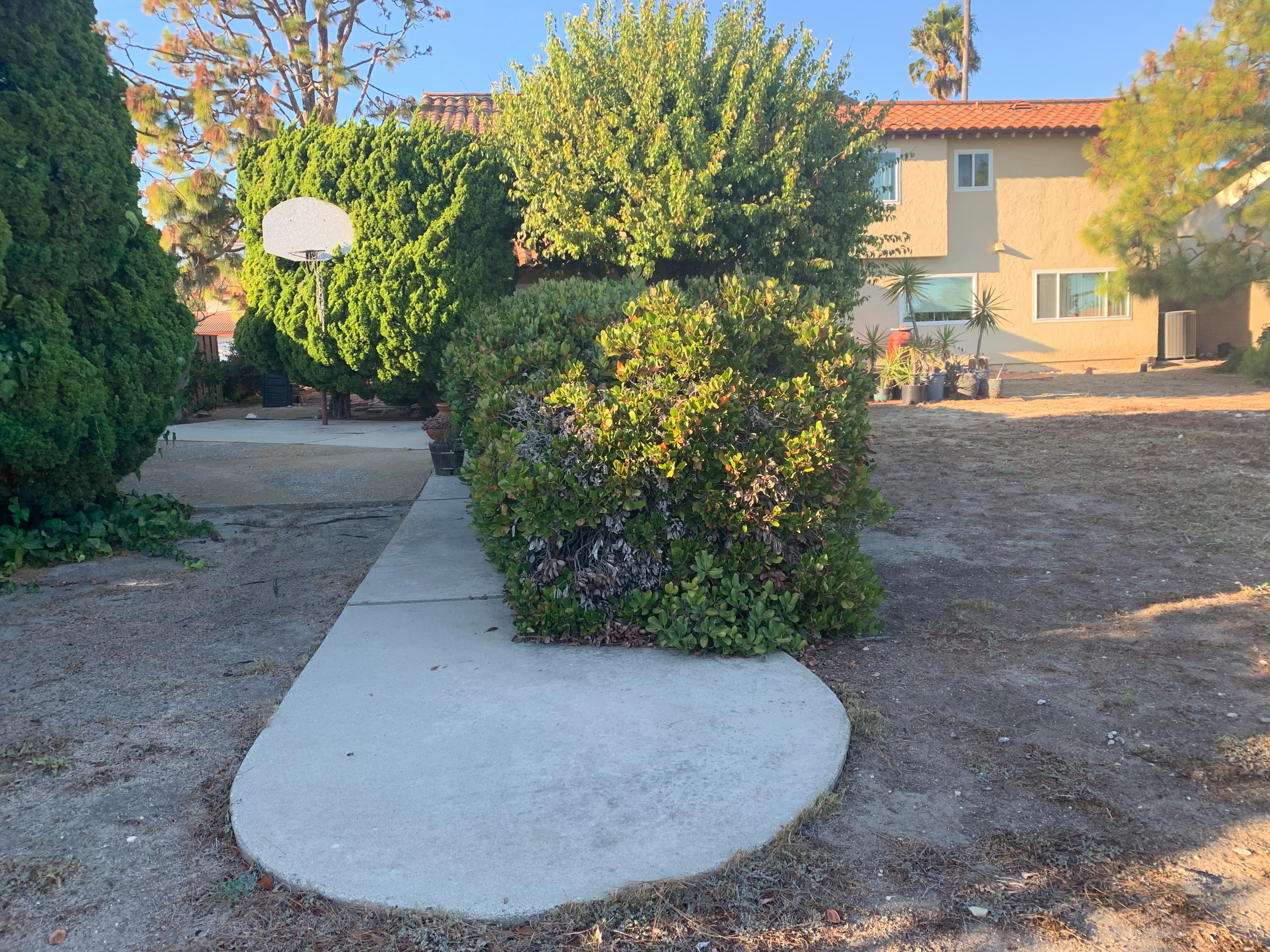 Rancho Palos Verdes, CA - Regenerative California Native Garden