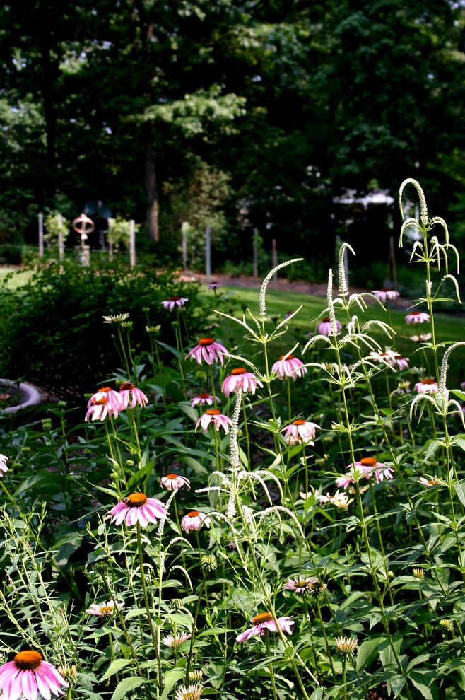 ワシントンD.C.にあるエクレクティックスタイルのおしゃれな庭の写真