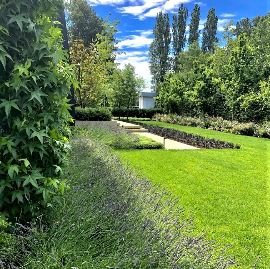 Urban Farm