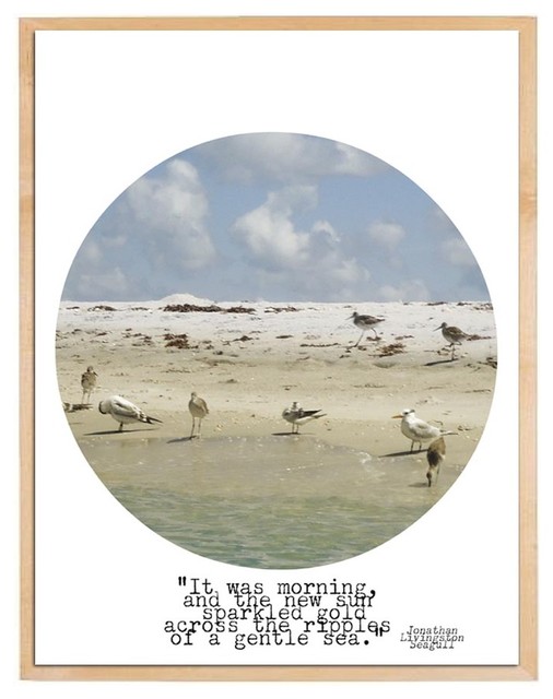 Jonathan Livingston Seagull Tropical Artwork Other By Alex Jonathan Livingston Seagull Tropical Artwork Other By Alex Isaacs Designs