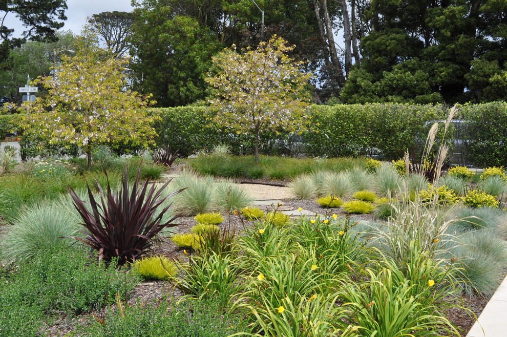 Свежая идея для дизайна: засухоустойчивый сад на заднем дворе в современном стиле - отличное фото интерьера