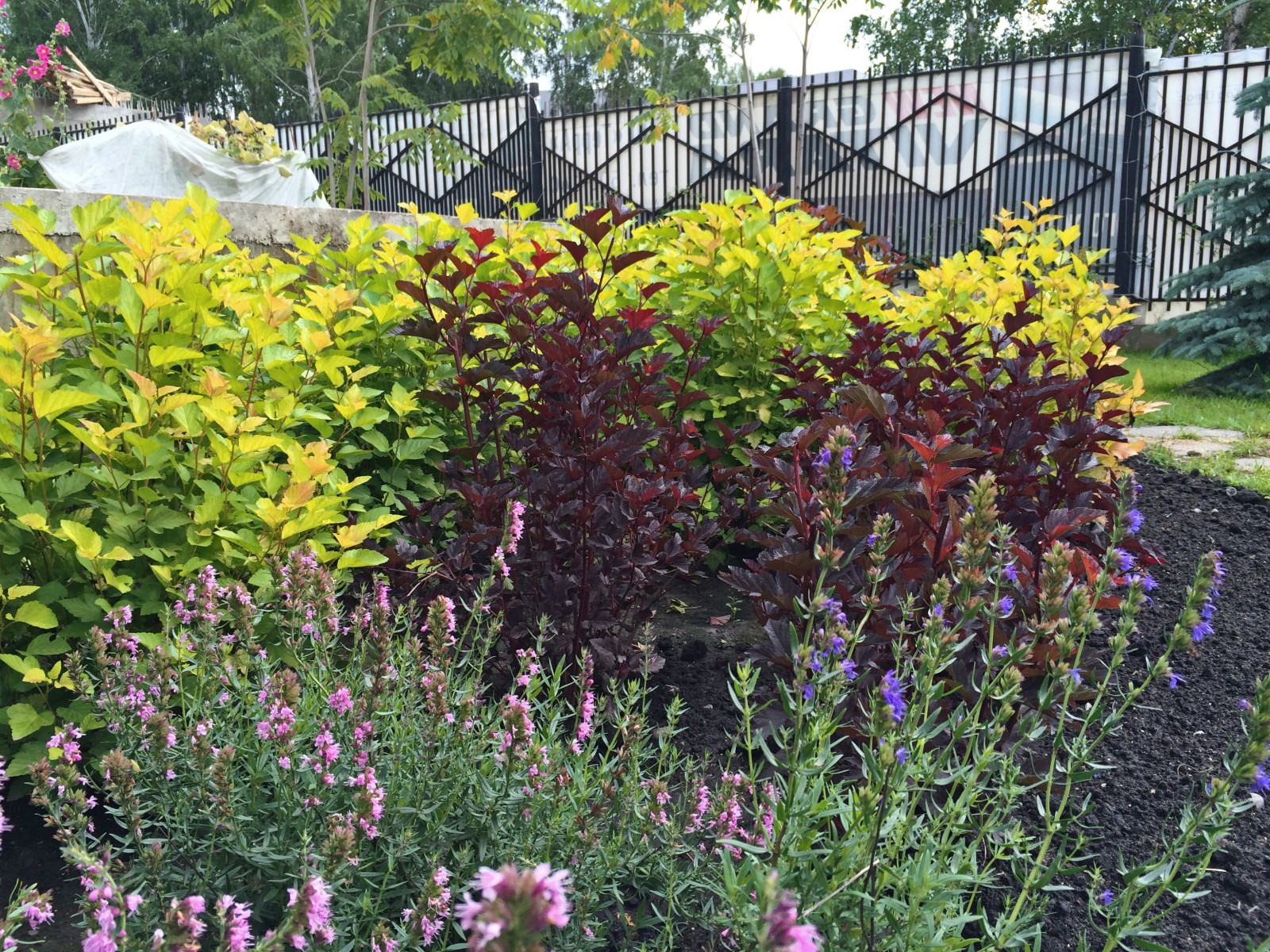 Сад с водоемом