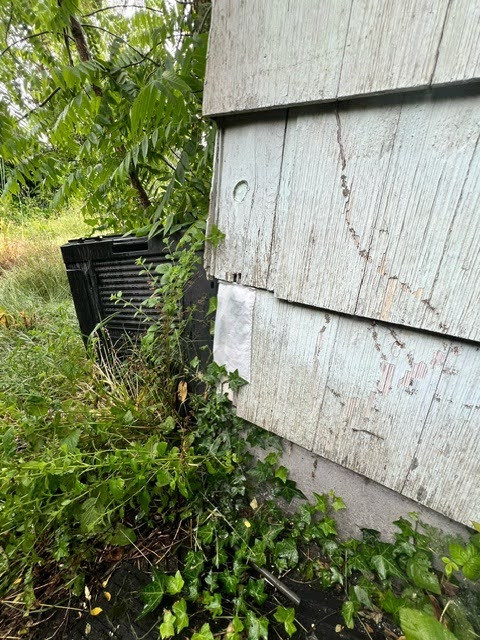 Exterior House Painting