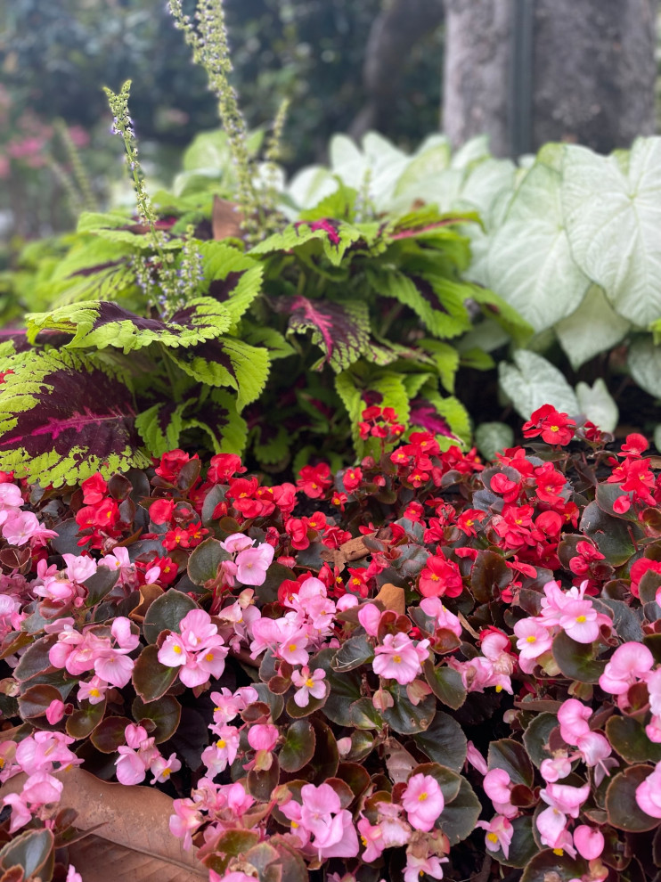 M Streets Floral Landscape & Outdoor Oasis