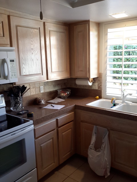 PINGEL PROJECT transitional