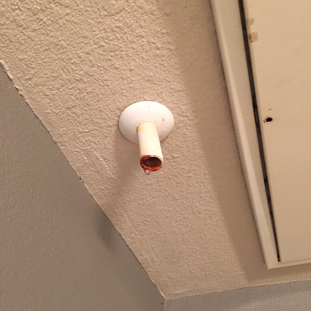 Leak In Ceiling Above Shower Drain Through