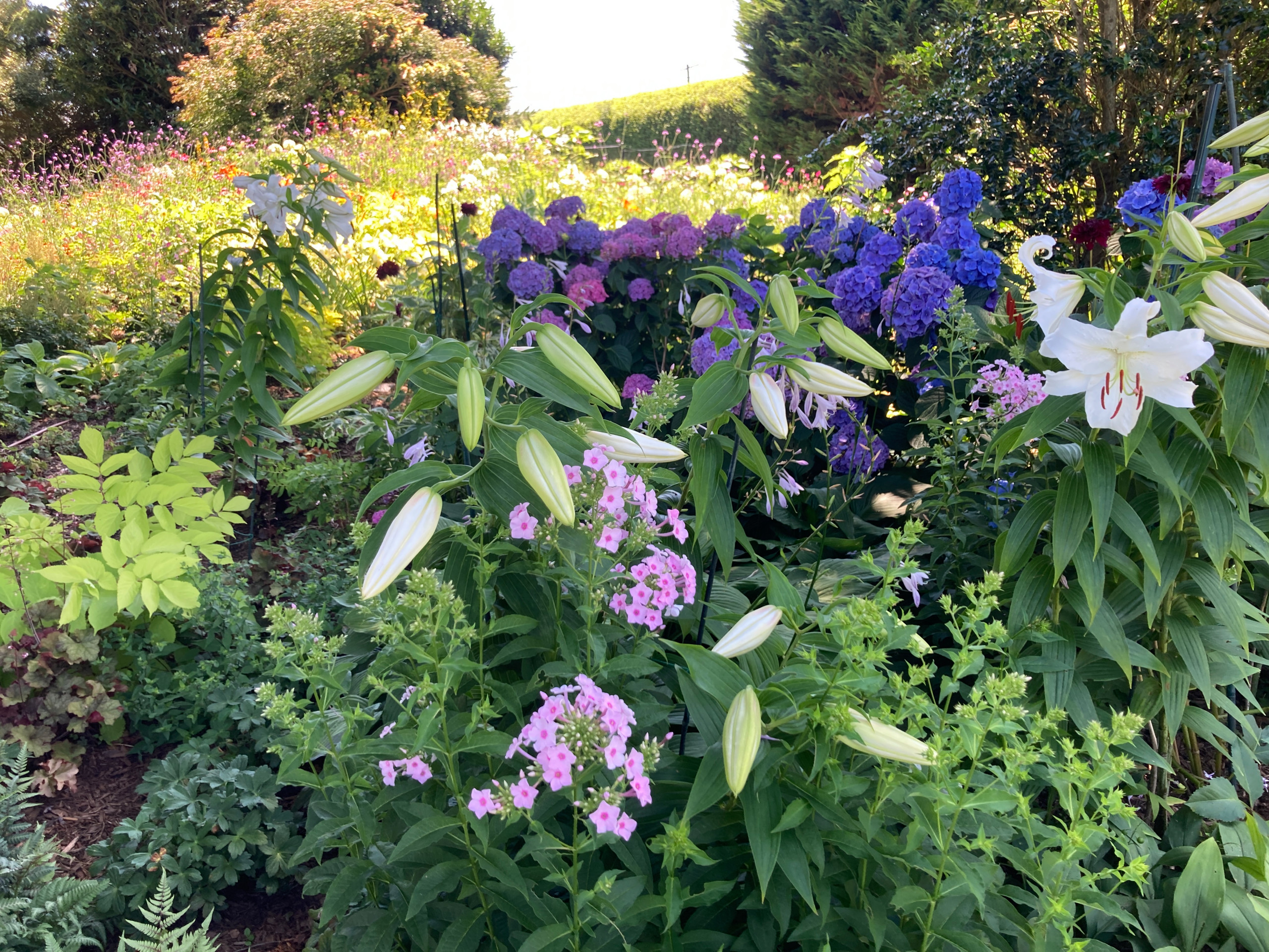 Sagaponack Garden Borders