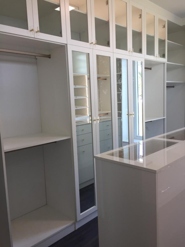 Minimalist Glass White WalkIn Closet Functionality and Style Closet