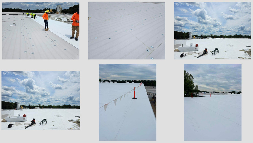 TPO Roofs
