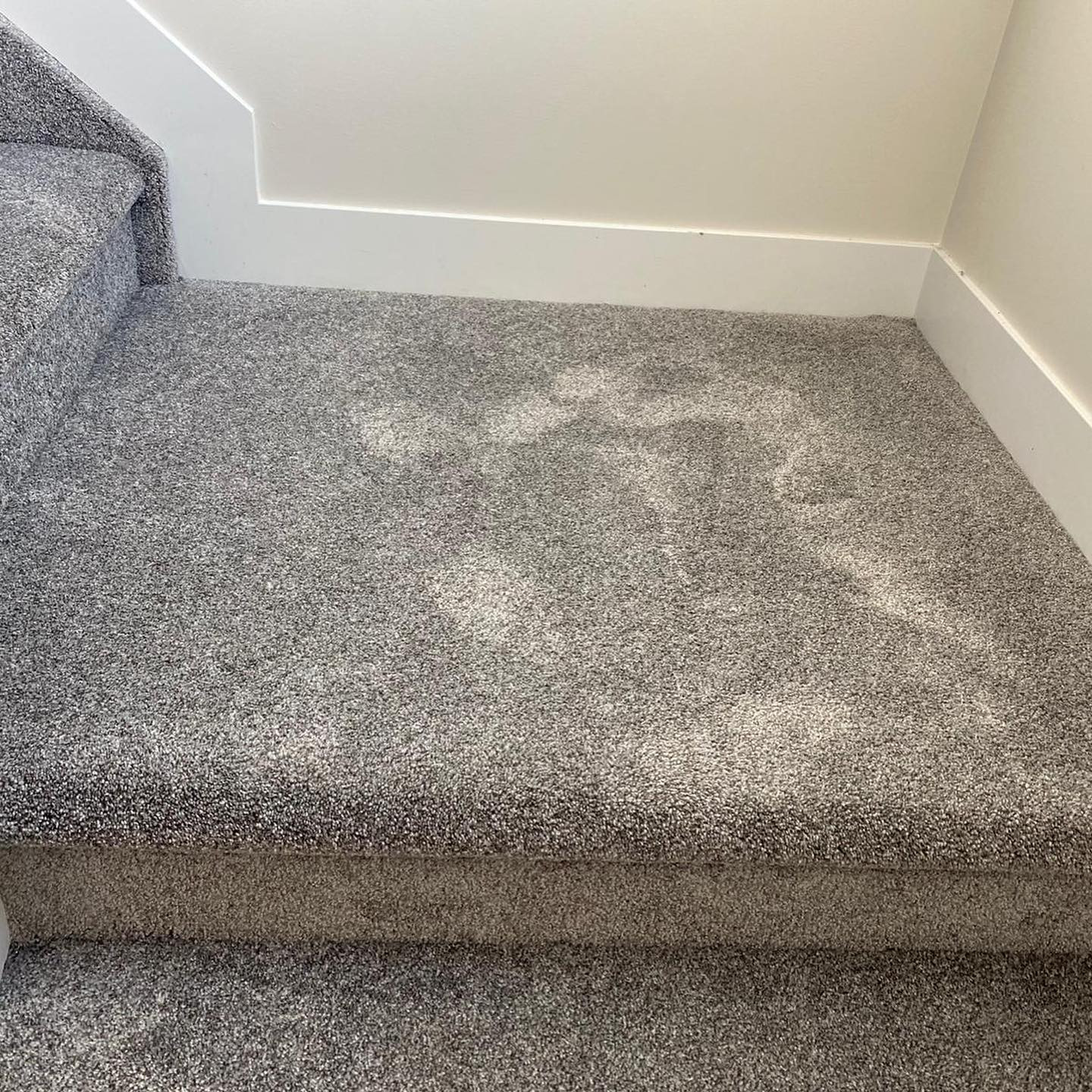 Carpet