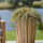 ingarden01