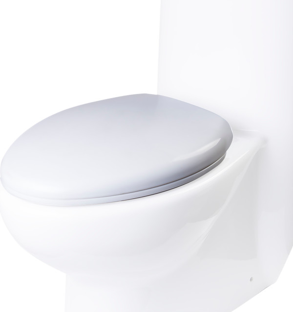 EAGO R309SEAT Replacement Soft Closing Toilet Seat for TB309 Toilet