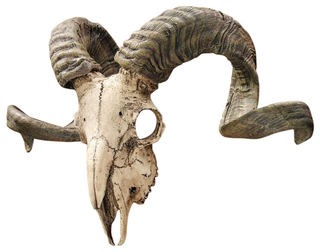 Corsican Ram Skull And Horns Plaque Southwestern Wall Sculptures Corsican Ram Skull And Horns Plaque Southwestern Wall Sculptures By Xoticbrands Home Decor