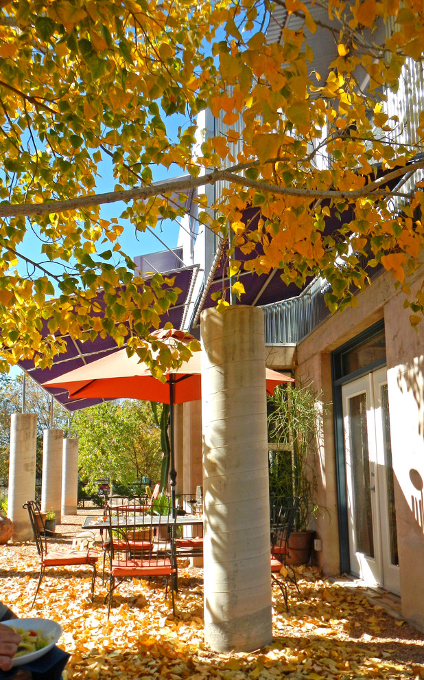 Photo of a contemporary patio in Albuquerque.