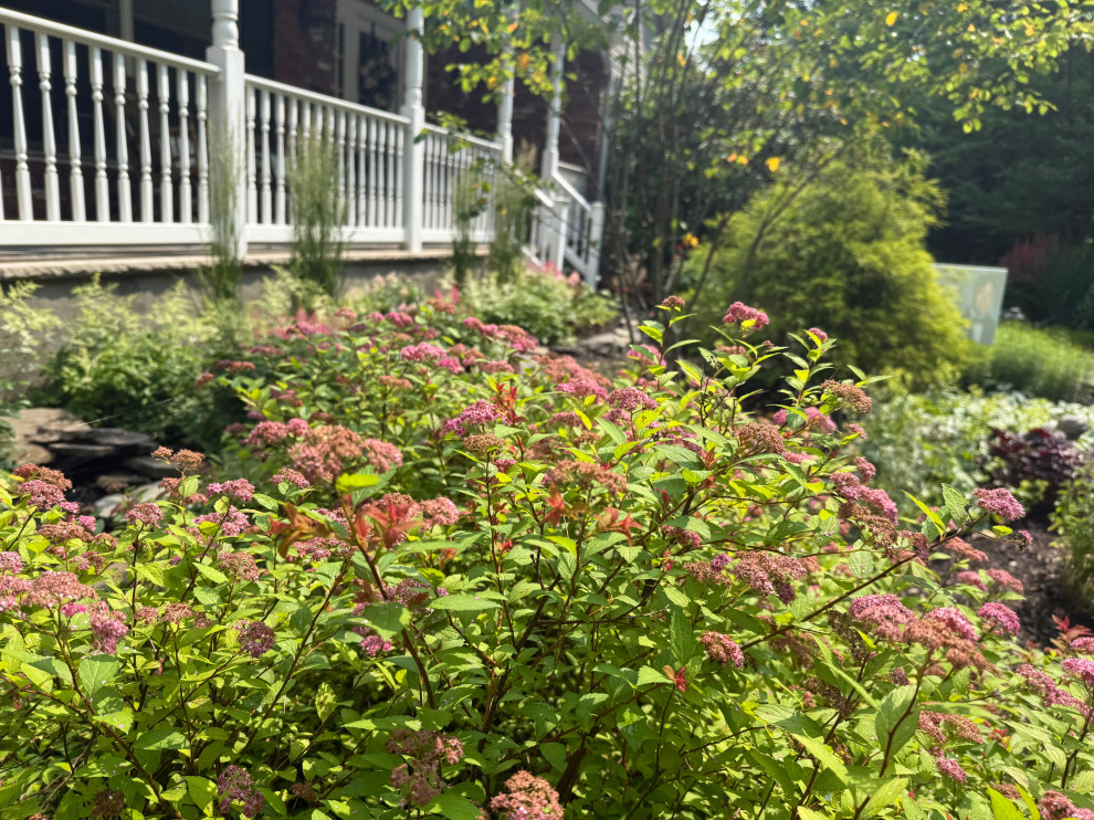 Planting Design