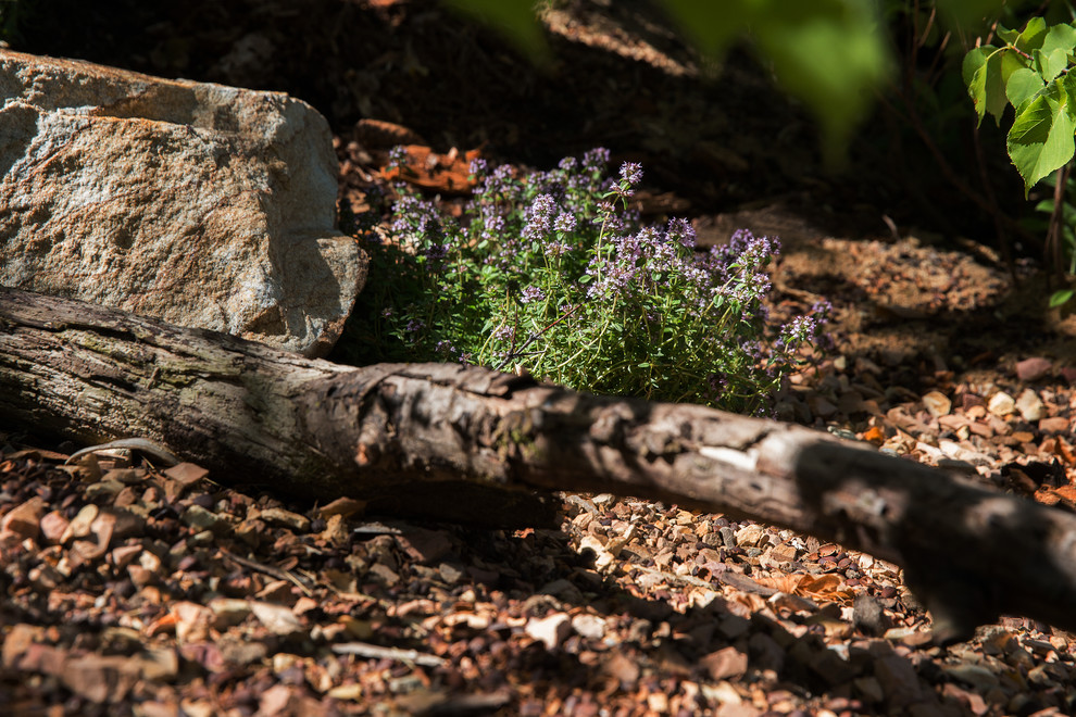 Сад Прометей - Сад, пробуждающий чувства -  The Garden that awakens feelings