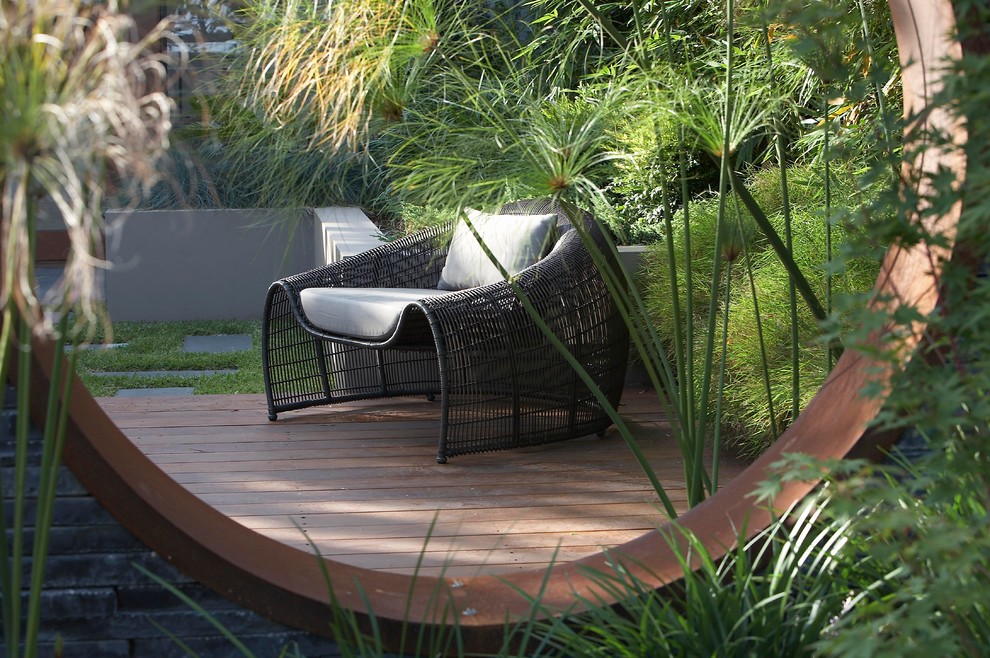 Photo of a contemporary garden in Sydney.