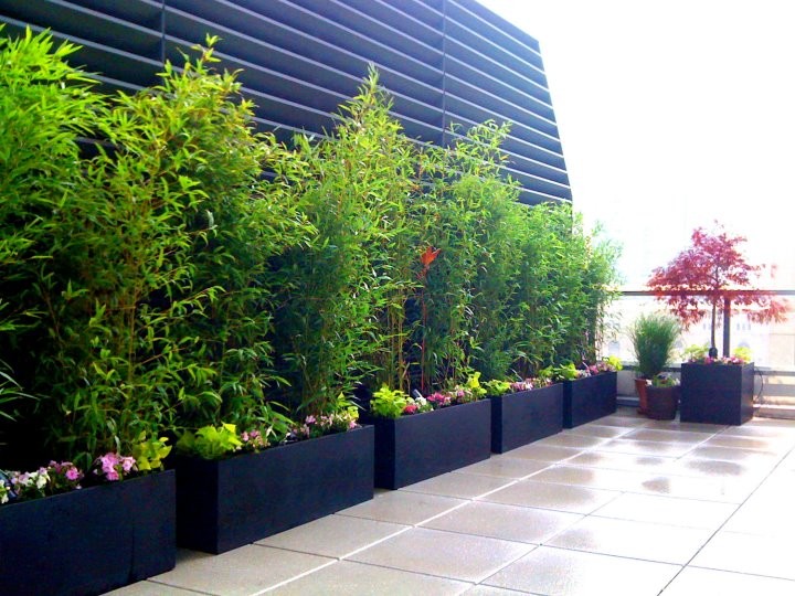 Contemporary rooftop deck in New York with a container garden.