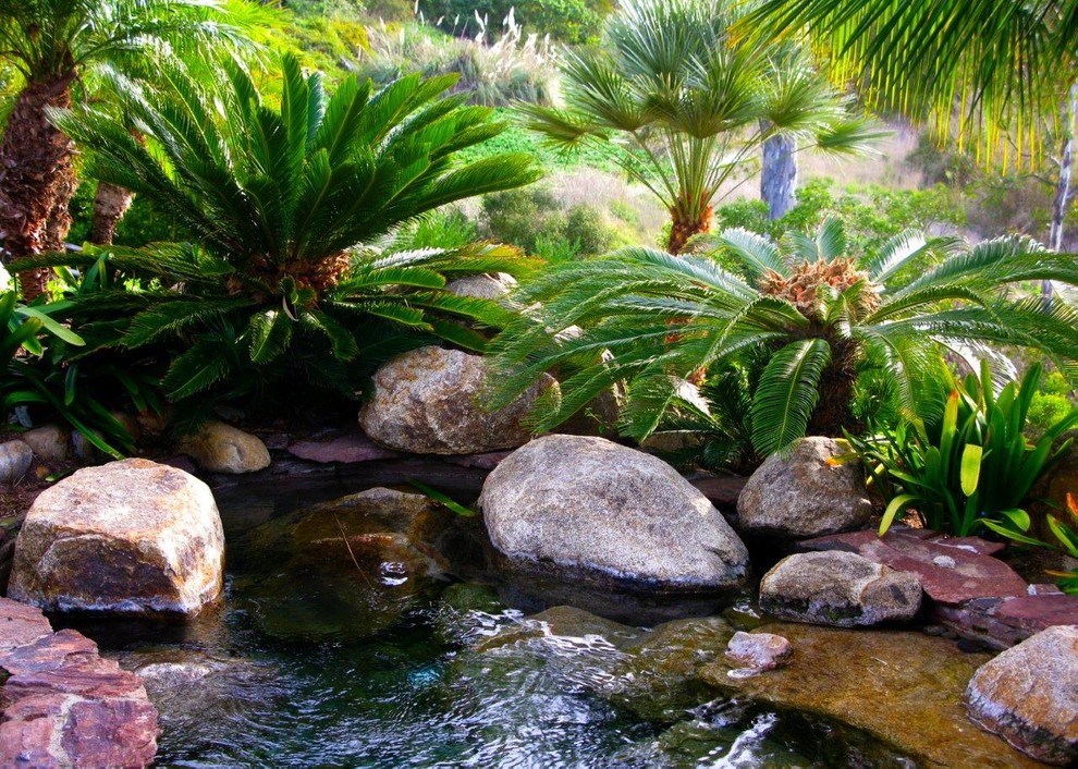 Design ideas for a tropical landscaping in San Diego.